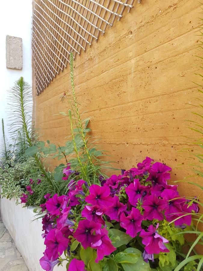 Tropical Andalusian Place Almuñécar Exteriér fotografie